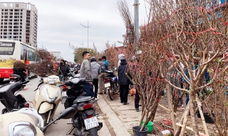 Bắc Ninh: Triển khai kế hoạch bảo đảm trật tự, an toàn giao thông dịp Tết Nguyên đán Bính Ngọ 2026 